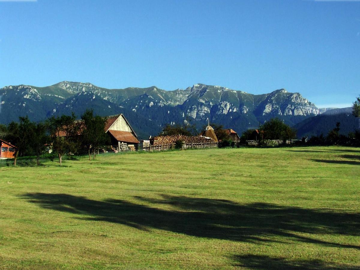 Pensiunea Casa Ady Bran  Exteriör bild