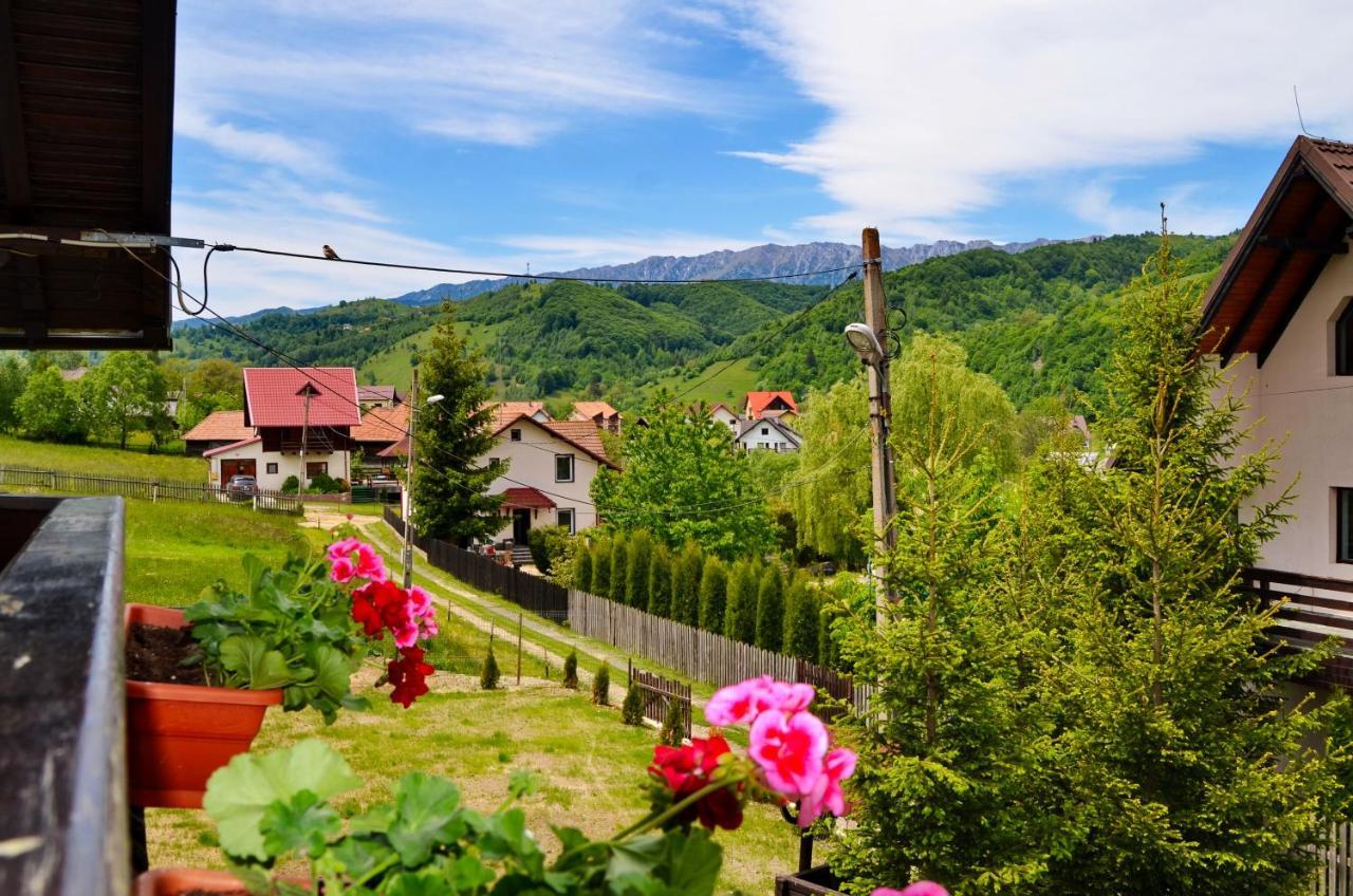 Pensiunea Casa Ady Bran  Exteriör bild